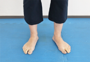 lss}_CGbgALwAKAċz@Az̃J_g[^T|[g@vCx[gbX̃X^WIFTB