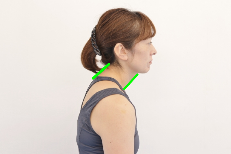 lss}_CGbgALwAKAċz@Az̃J_g[^T|[g@vCx[gbX̃X^WIFTB