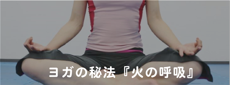 X^WIFTBlss}tZ^[vCx[gbXvCx[gg[jO_CGbg̊g[jOLw_xg[jOK΂̌ċz`[ug[jO}c[}g[jO