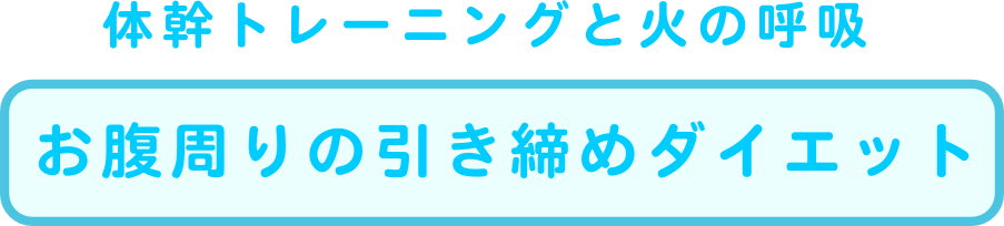 lss}Z^[_CGbgALwÁAKẢPAċzAvCx[gbXX^WIFTB