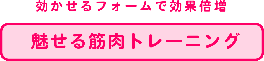 lss}Z^[_CGbgALwÁAKẢPAċzAvCx[gbXX^WIFTB