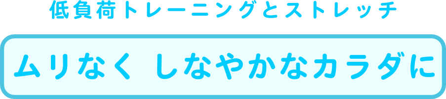 lss}Z^[_CGbgALwÁAKẢPAċzAvCx[gbXX^WIFTB