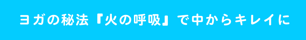 lss}Z^[@Ȃ肽̃J_T|[g@_CGbgALwÁAKẢPAċzAvCx[gbXAvCx[gg[jO@X^WIFTB