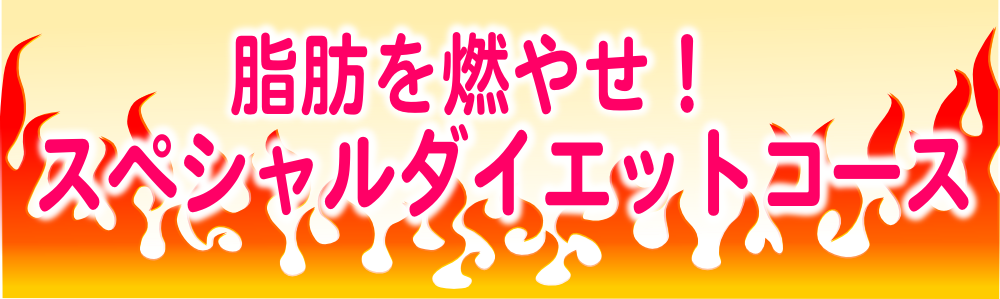 lss}Z^[_CGbgALwÁAKẢPAċzAvCx[gbXX^WIFTB